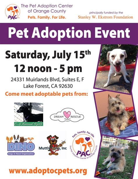 If the owner does not reclaim prior to the completion of the stray hold period, we can move forward with the final adoption process. Pet Adoption Event this Saturday - The Pet Adoption Center ...