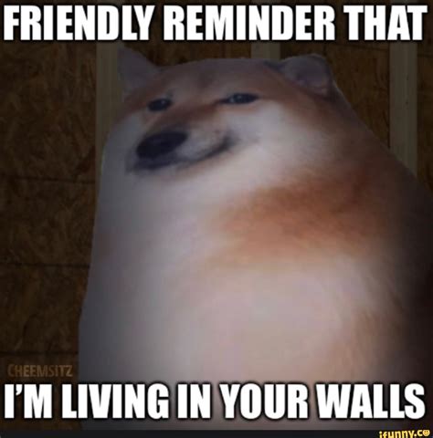 Friendly Reminder That Im Living In Your Walls Ifunny