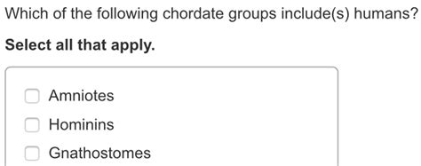 Which Of The Following Chordate Groups Include(s) Humans?