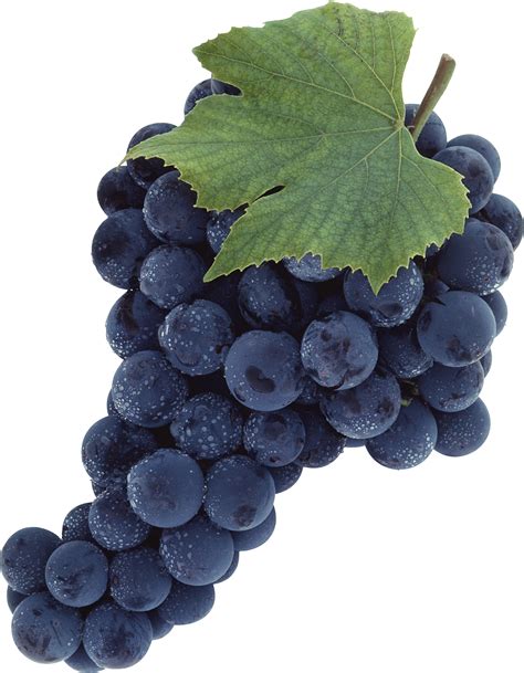 Grapes PNG Image | Grapes, Black grapes, Grape berry