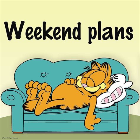 Lazy Sunday Morning With Garfield