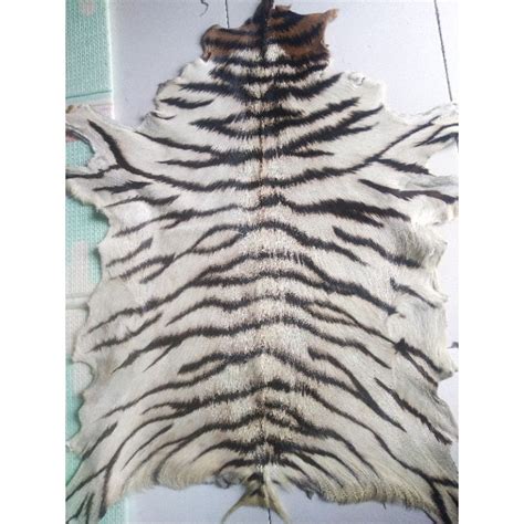 Jual Kulit Kambing Motif Harimau Loreng Putih Macan Tiger Bahan Tas