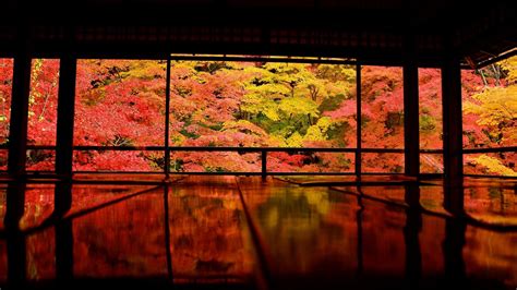 Japan Kyoto Asia Colorful Trees Reflection Hd Japanese Wallpapers Hd