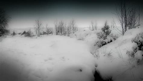 Winter Landscape A Beautiful Snowy Scene Taken On A Yorkshire Moor