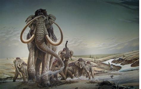 Mark E Marcuson Nebraska In The Ice Age Imperial Elephants On A Platte River Sandbar