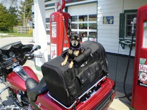 Sherpa travel pet carrier with d rings. Harley Davidson Dogs on Harleys - Hdforums