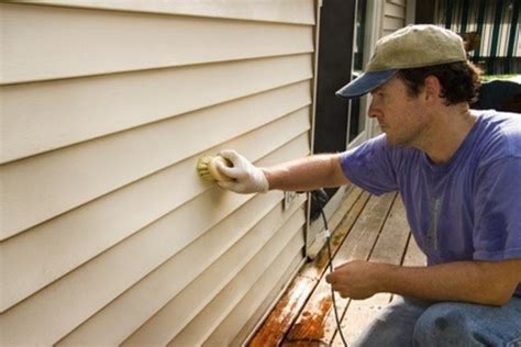 Green Tips To Removing Mold From Your Siding