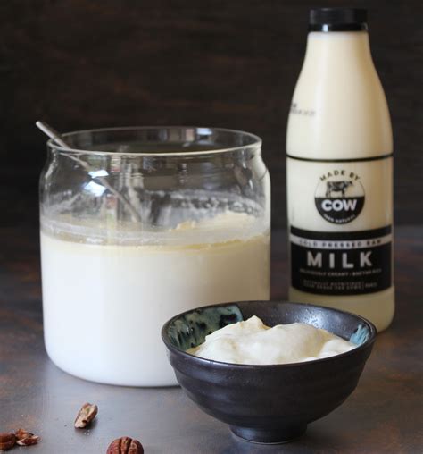 Homemade Yogurt With Raw Milk Recipe Made By Cow