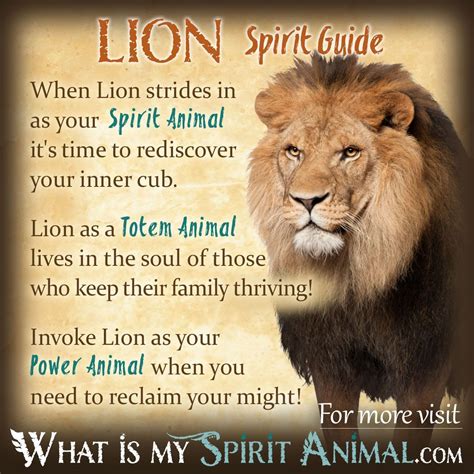 Mammal Symbolism And Meaning Spirit Totem And Power Animal Spirit
