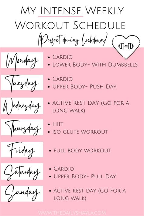 My Intense 7 Day Workout Schedule • The Daily Shayla Weekly Workout