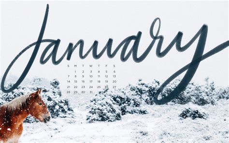 Free Downloadable Tech Backgrounds For January The Everygirl