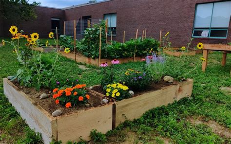 Campus Community Garden Proves To Be Immense Success The Farmington Flyer