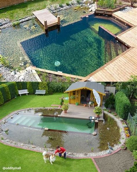 Could You Get On Board With A Natural Pool 🤔 Unlike Most Sparkling