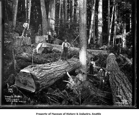 Photos A Tale Of The Northwest S Logging Past
