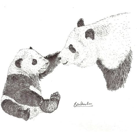 Panda Cub And Mom Pen And Ink By Moose Boy521 On Deviantart