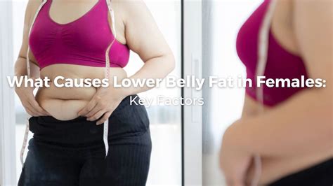 What Causes Lower Belly Fat In Females Healthy Life Bariatrics
