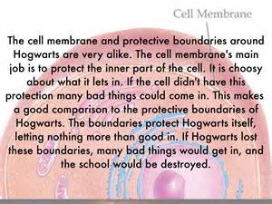 We did not find results for: Hogwarts As A Cell by Meg Dermont
