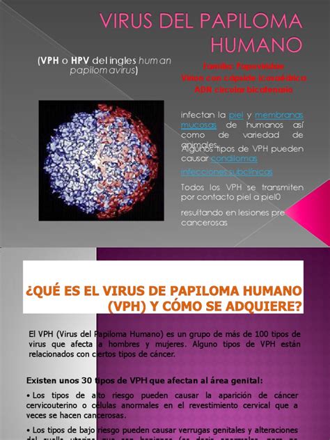 Virus Del Papiloma Humanopdf Microbiología Enfermedades Y Trastornos