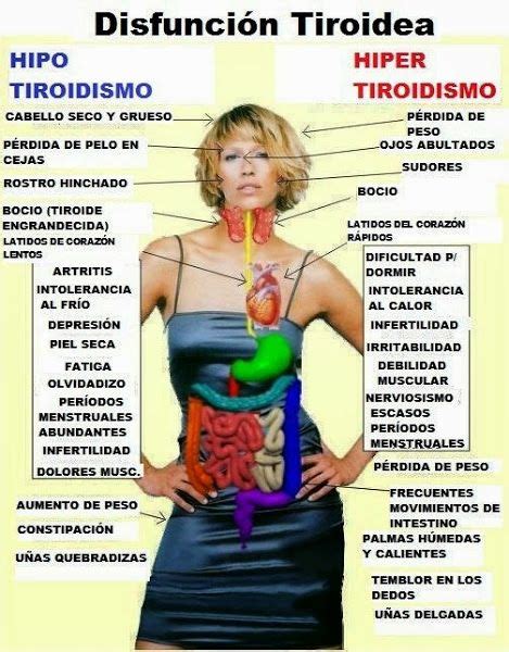 Hypo Hyper Thyroid Disease Thyroid Thyroid Health