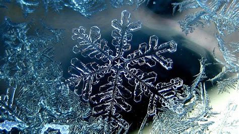 Snowflake Photo Wallpaper High Definition High Quality Widescreen