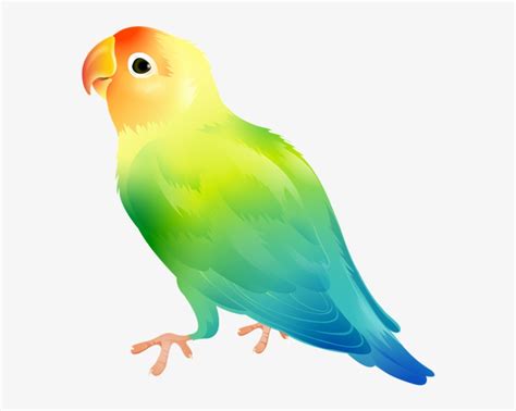 Banner Freeuse Library Parrot Png Clip Art Image Gallery Clip Art