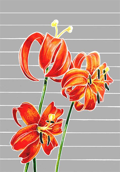 Tiger Lilies Mixed Media By Martha Rucker Fine Art America