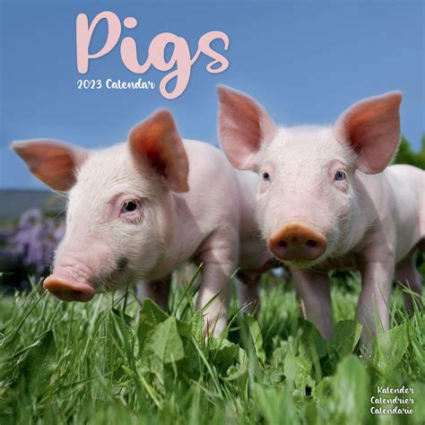 Pigs Wall Calendar 2023