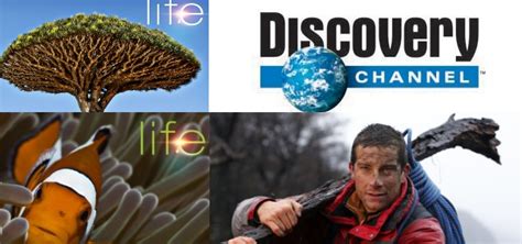 Последние твиты от discovery (@discovery). Discovery Channel es el canal preferido en la televisión ...