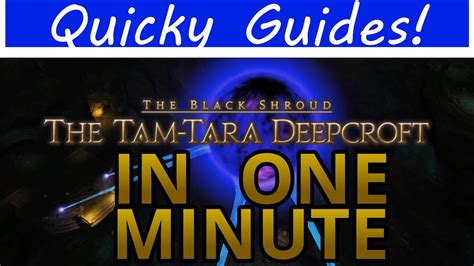 You'll need to be on the proper step of the level 15 city quest. Tam-Tara Deepcroft | 1 minute guide - YouTube