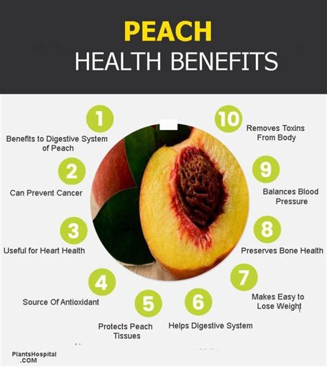 11 Wonderful Health And Wellness Benefits Of Peach Is Peach Healthy