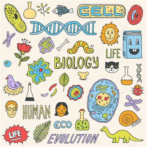 Biology Doodles — Stock Vector © Sashatigar 51488049
