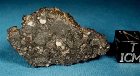2015 Classified Nwa 10141 Moon Meteorite Slice 312 Gr Lunar Breccia