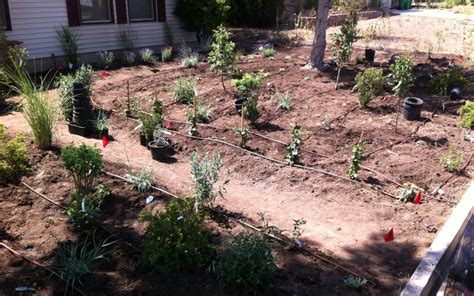 Xeriscape Nevada Planting Full Circle