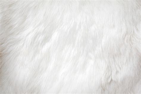 Fur Background Stock Photo Download Image Now Istock