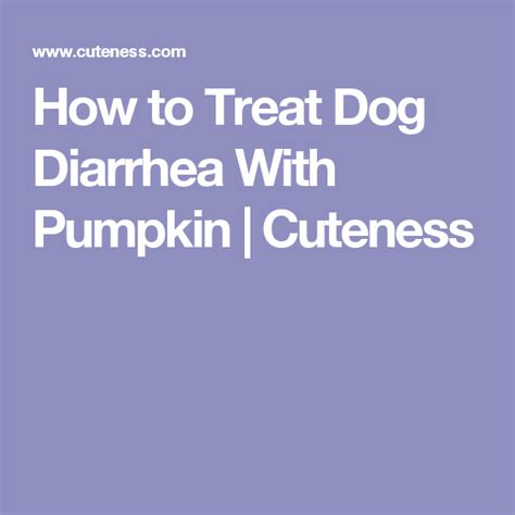 Adding a teaspoon of pure canned pumpkin to your cat's food might help with diarrhea. How to Treat Dog Diarrhea With Pumpkin | Cuteness | Cat ...