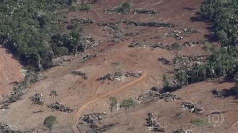 Mais Da Metade Das Cidades Que Lideram A Destruição De Mata Atlântica Estão Em Minas Gerais