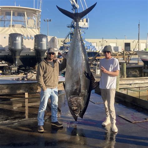 Everything You Need To Know About Bluefin Tuna Season 2023