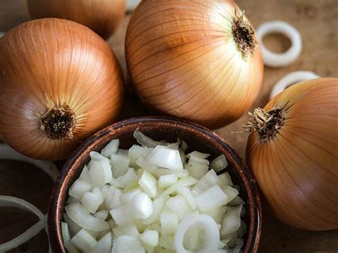 Low Prices Storewide Wholesale Prices Heirloom Non Gmo Onion Seeds Big
