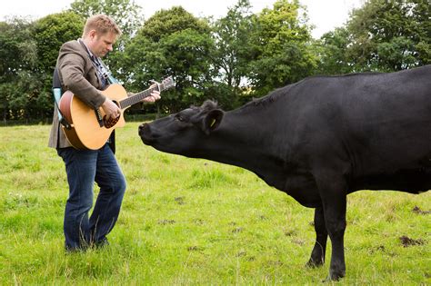 Can Country Music Help Cows Produce A Greater Milk Yield Farminguk News