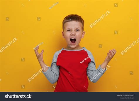 Angry Little Boy Screaming On Yellow Stock Photo 2186709687 Shutterstock