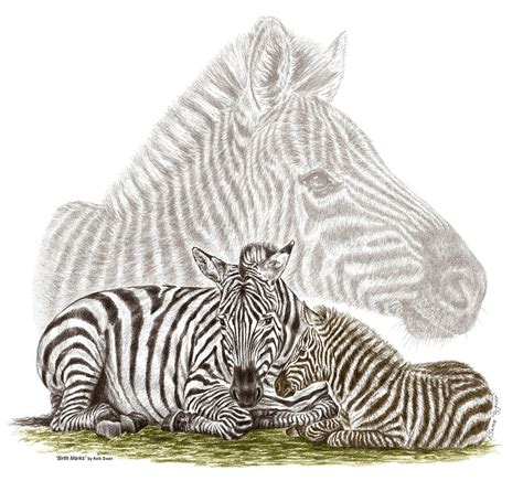 Mom And Baby Zebra Art Drawing By Kelli Swan Fine Art America