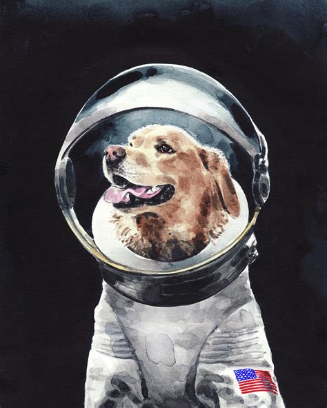 Dog Astronaut Suit Ubicaciondepersonascdmxgobmx