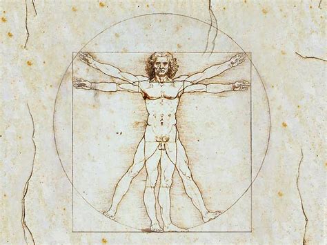 Wallpapers Photo Art: Vitruvian Man Wallpaper, Background, man, vinci