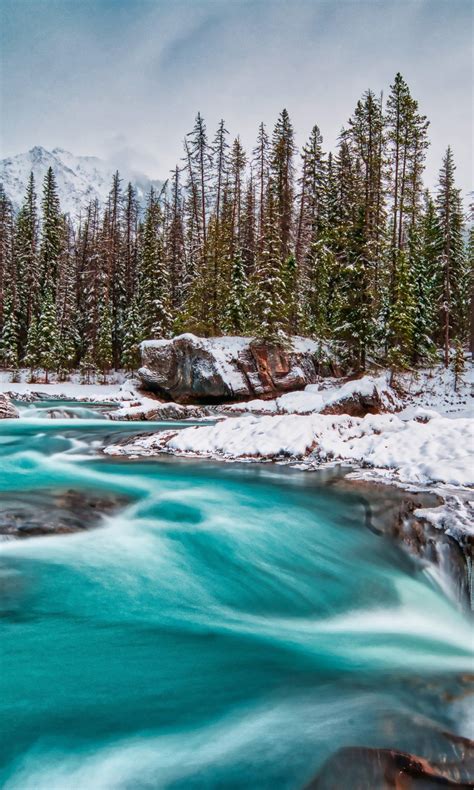 Yoho National Park British Columbia Canada River During Winter 4k 5k Hd