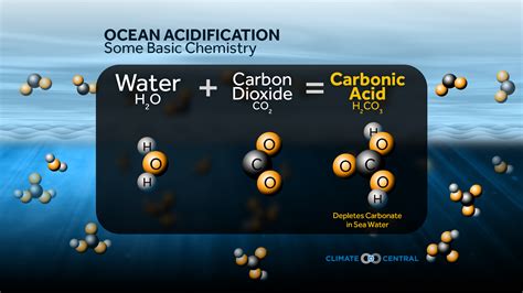 Ocean Acidification Jordpush