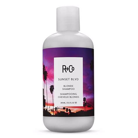 Purple shampoo is color theory at its simplest: The Best Purple Shampoo 2017 | POPSUGAR Beauty