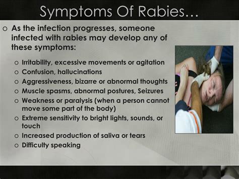 Rabies Early Symptoms In Humans Rabies Symptoms And Causes