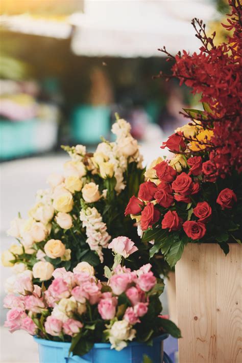 La seconda è relativa all'acquisto, ad un prezzo molto minore, di alcuni mazzi destinati ai fratelli di leonello. Gigantesco Mazzi Di Fiori - MAZZO DI FIORI CON ORTENSIE E GIRASOLI - Eshop Bardin ... : Contamos ...