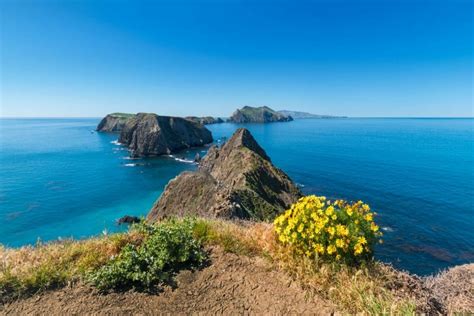 25 Amazing West Coast National Parks You Cant Miss She Wanders Abroad