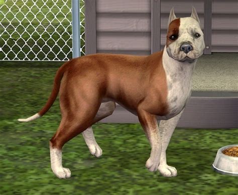 Mod The Sims Red And White Amstaff